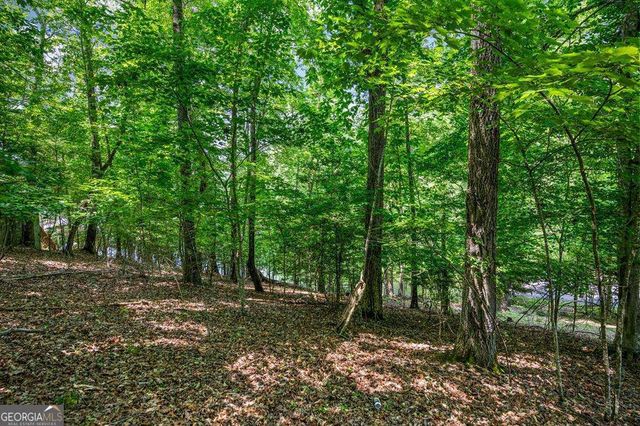 LOT 25 Talon Trace, Blairsville, GA 30512