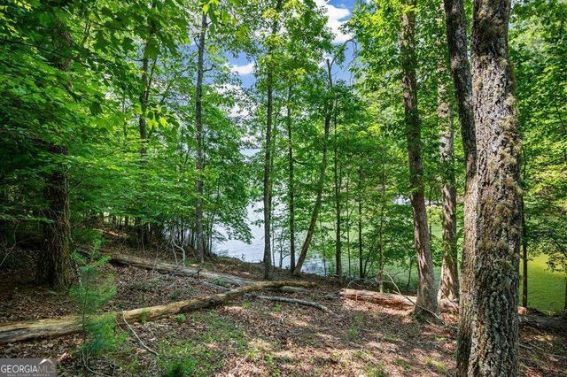 LOT 25 Talon Trace, Blairsville, GA 30512