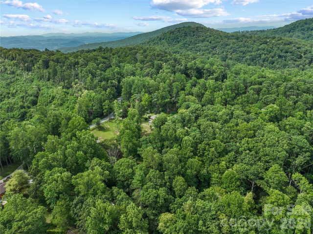 3151 N Bearwallow Road, Hendersonville, NC 28792
