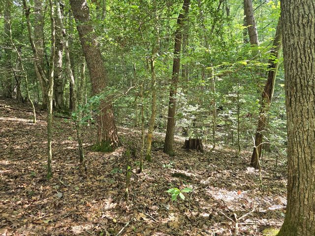 3.59 AC Swallows Creek Road, Hiawassee, GA 30546