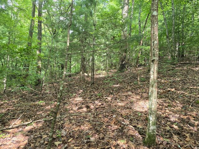 3.59 AC Swallows Creek Road, Hiawassee, GA 30546