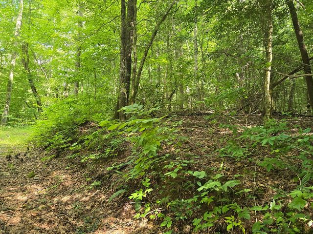 3.59 AC Swallows Creek Road, Hiawassee, GA 30546