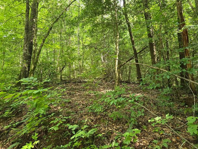 3.59 AC Swallows Creek Road, Hiawassee, GA 30546