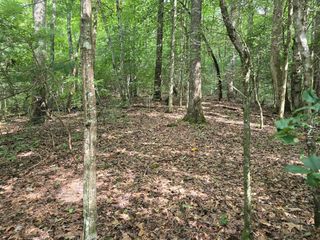 3.59 AC Swallows Creek Road, Hiawassee, GA 30546