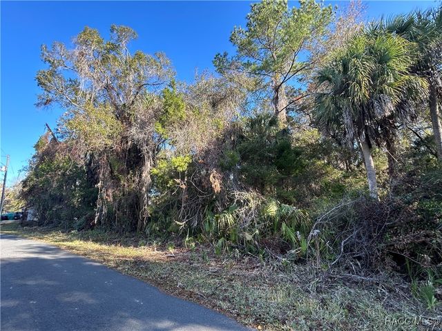 11181 W Cedar Lake Drive, Crystal River, FL 34428