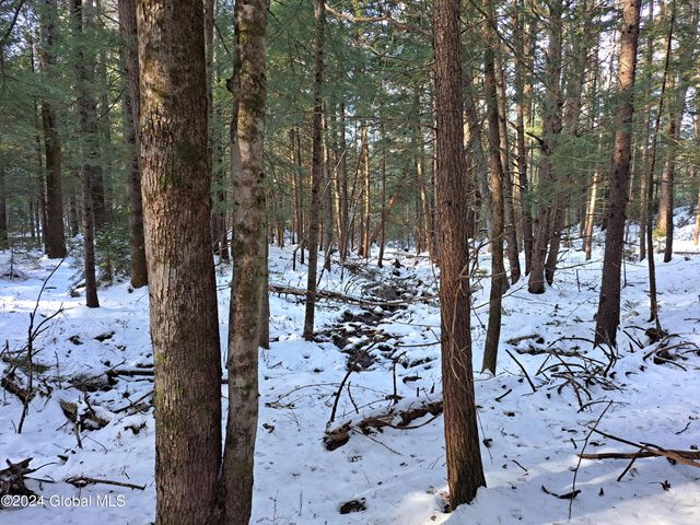 L17 Rice Road, Hope, NY 12134