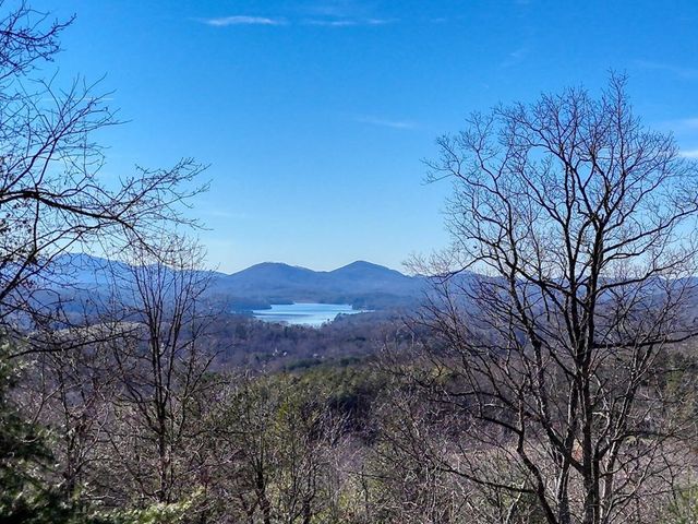 417 Hidden Forest Lane, Hayesville, NC 28904