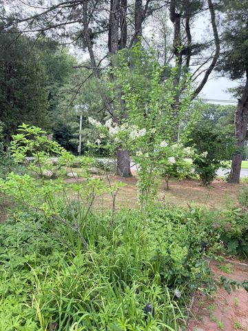 11 Willow Street, Exeter, NH 03883