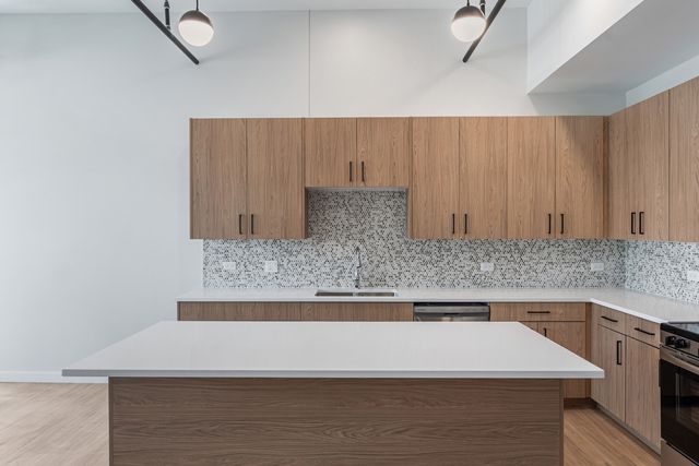 805 N Milwaukee Avenue 2S, Chicago, IL 60642