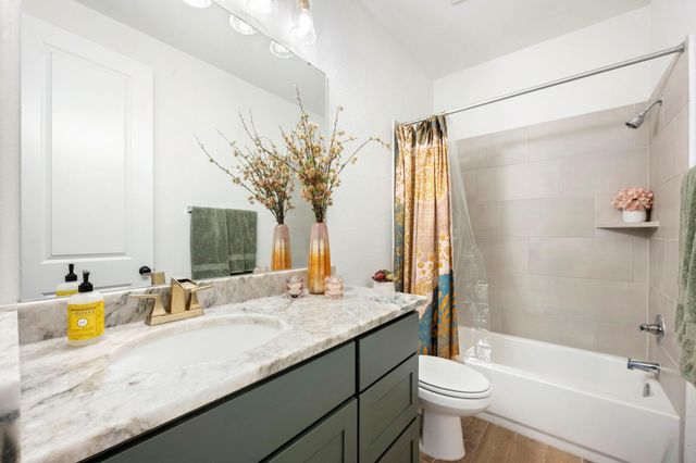 655 Vireos ST, New Braunfels, TX 78132