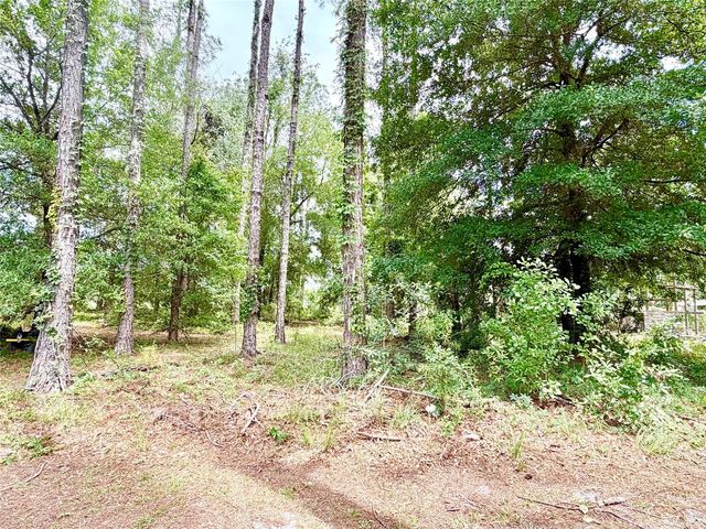9972 SW 151ST PLACE, Lake Butler, FL 32054