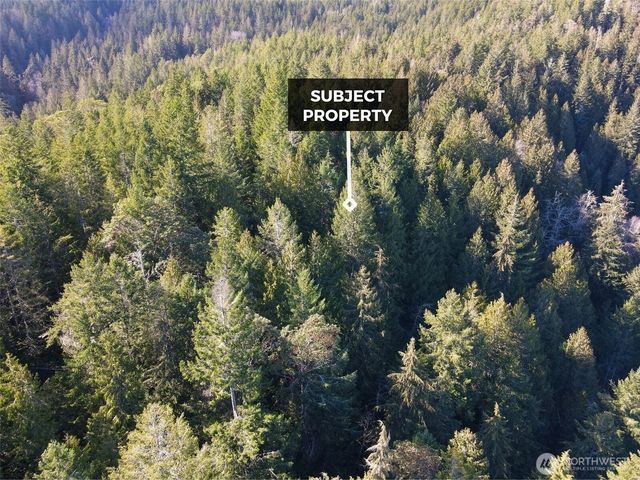 58 Stickney Street N, Lilliwaup, WA 98555