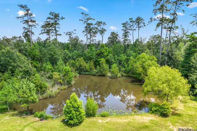 27605 Patterson Rd, Springfield, LA 70462