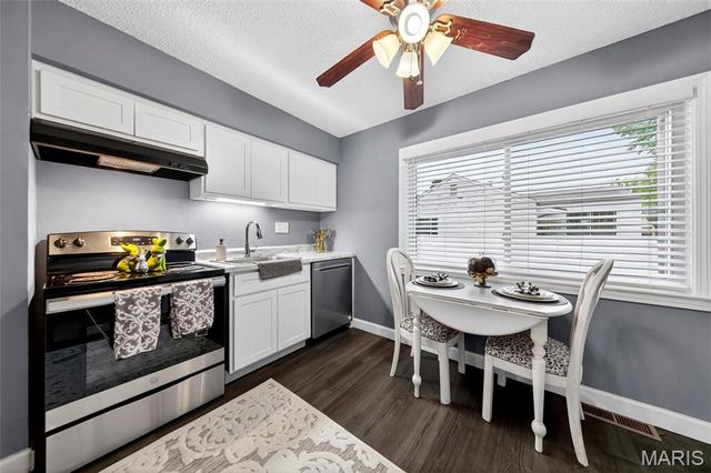 10732 Saint Francis Lane, St Ann, MO 63074