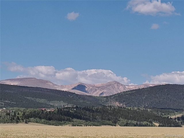 1159 Sheep Ridge Rd, Fairplay, CO 80440