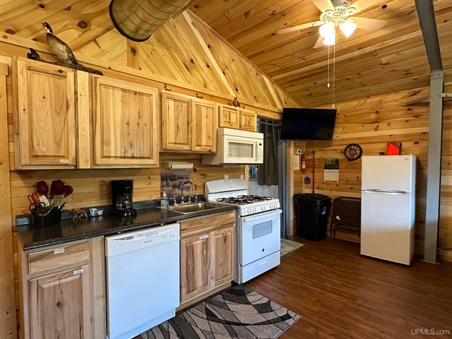 4865 M67 Road, Chatham, MI 49816