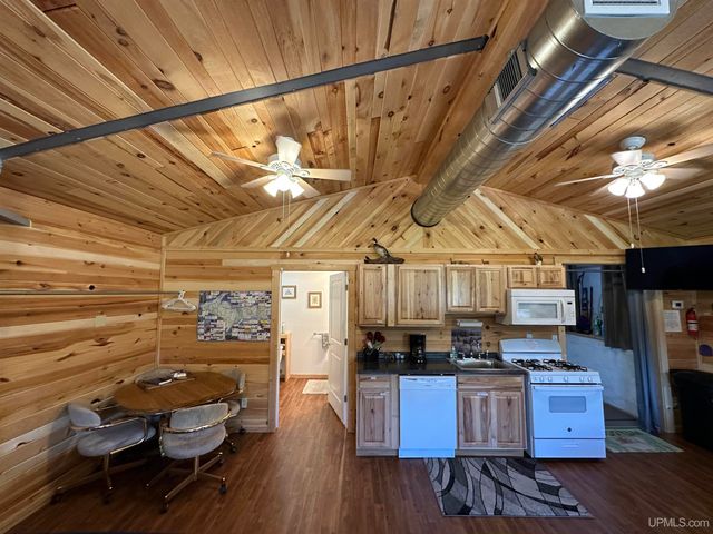 4865 M67 Road, Chatham, MI 49816