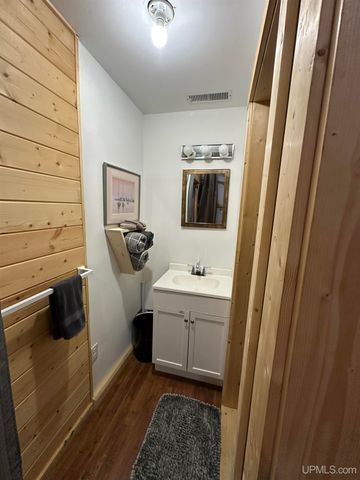 4865 M67 Road, Chatham, MI 49816