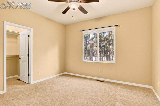 14994 Snowy Pine Point, Colorado Springs, CO 80908