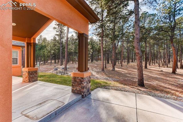 14994 Snowy Pine Point, Colorado Springs, CO 80908