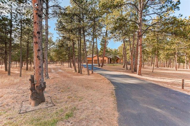 14994 Snowy Pine Point, Colorado Springs, CO 80908