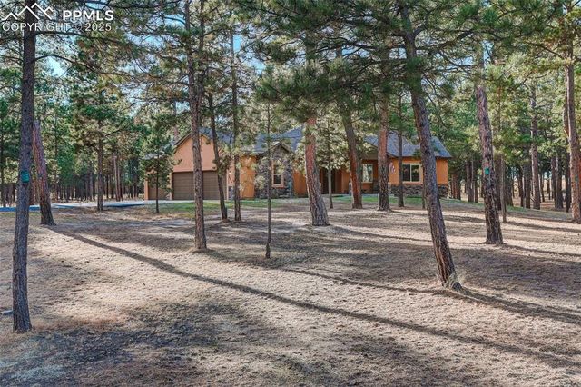 14994 Snowy Pine Point, Colorado Springs, CO 80908