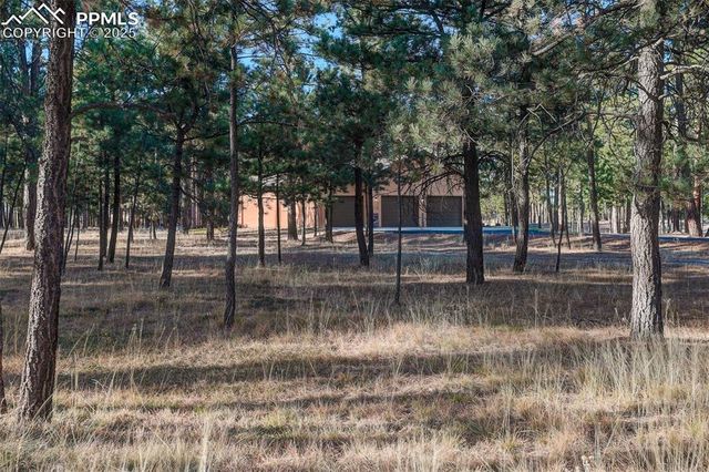 14994 Snowy Pine Point, Colorado Springs, CO 80908