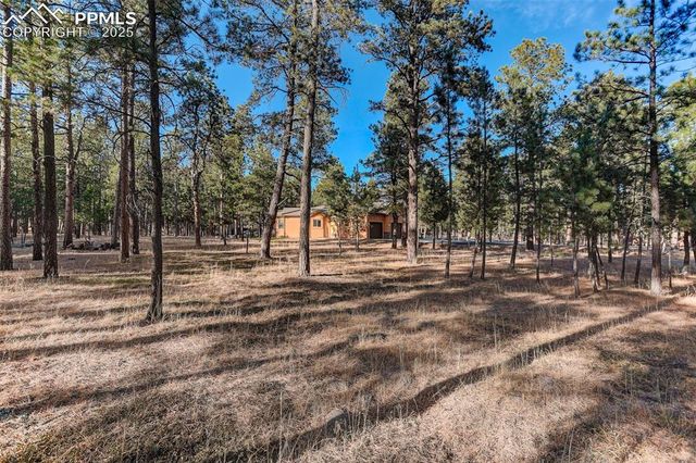 14994 Snowy Pine Point, Colorado Springs, CO 80908