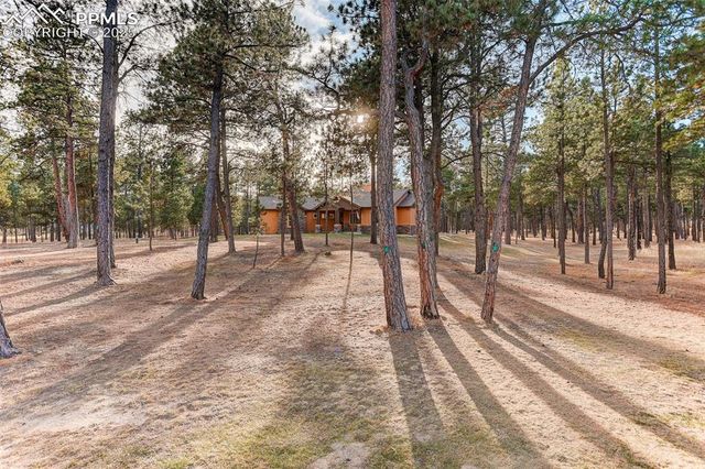 14994 Snowy Pine Point, Colorado Springs, CO 80908