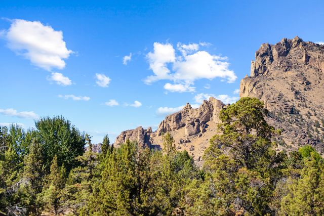 4455 NE Vaughn Avenue, Terrebonne, OR 97760