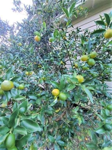 12610 NW Virginia G. Weaver Street, Bristol, FL 32321