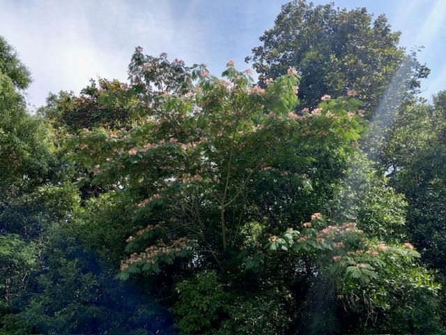 12610 NW Virginia G. Weaver Street, Bristol, FL 32321