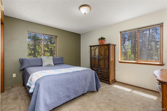 10868 Norton Avenue, Conifer, CO 80433