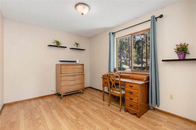 10868 Norton Avenue, Conifer, CO 80433