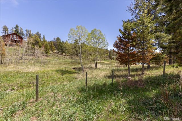 10868 Norton Avenue, Conifer, CO 80433
