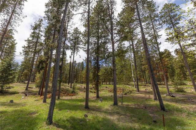 10868 Norton Avenue, Conifer, CO 80433