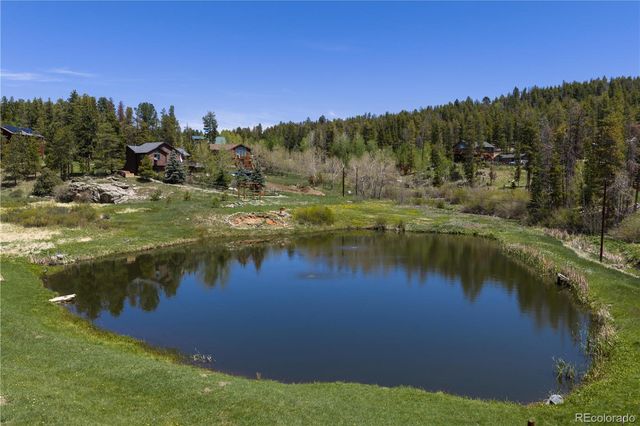 10868 Norton Avenue, Conifer, CO 80433