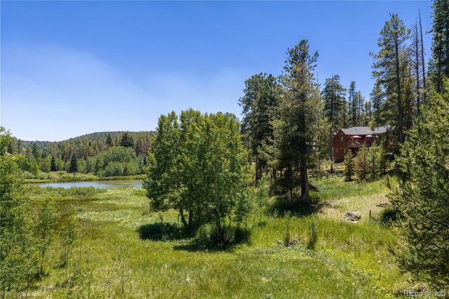 10868 Norton Avenue, Conifer, CO 80433