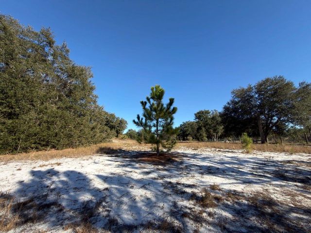 24939 COUNTY ROAD 33, Groveland, FL 34736