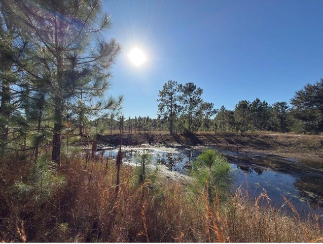 24939 COUNTY ROAD 33, Groveland, FL 34736