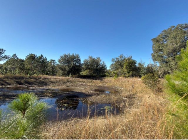 24939 COUNTY ROAD 33, Groveland, FL 34736