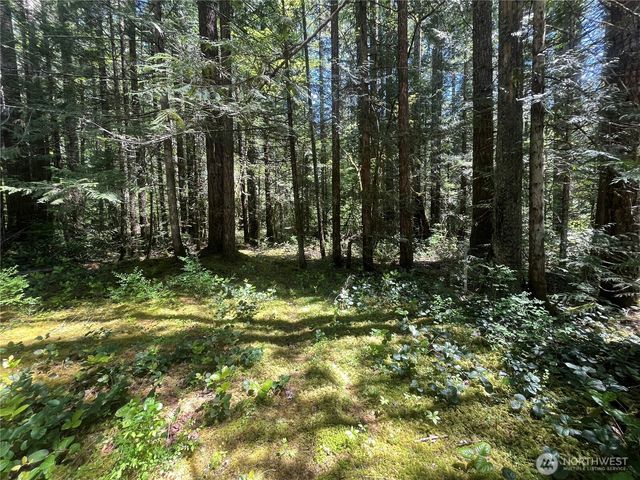 212 N Mt Jupiter Dr, Hoodsport, WA 98548