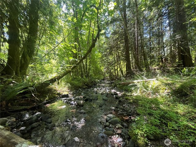 212 N Mt Jupiter Dr, Hoodsport, WA 98548