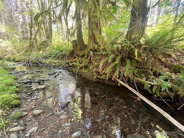 212 N Mt Jupiter Dr, Hoodsport, WA 98548