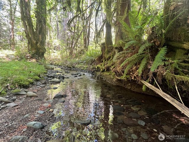 212 N Mt Jupiter Dr, Hoodsport, WA 98548