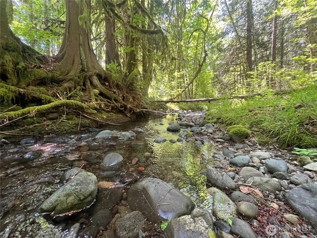 212 N Mt Jupiter Dr, Hoodsport, WA 98548