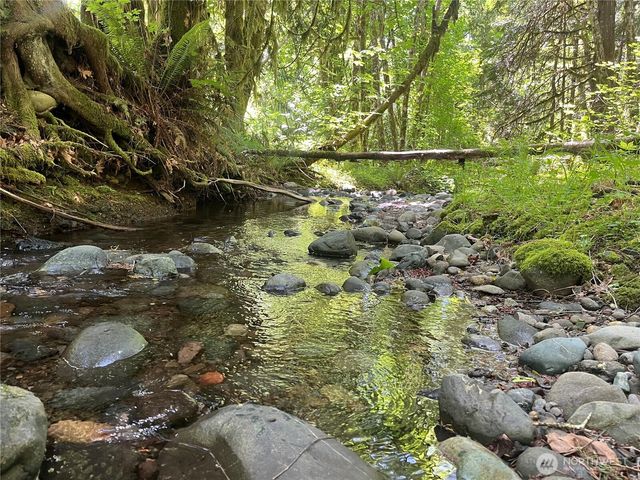 212 N Mt Jupiter Dr, Hoodsport, WA 98548