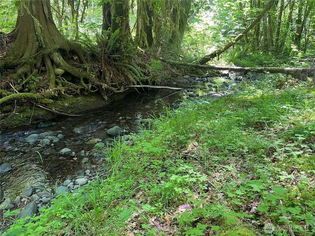 212 N Mt Jupiter Dr, Hoodsport, WA 98548