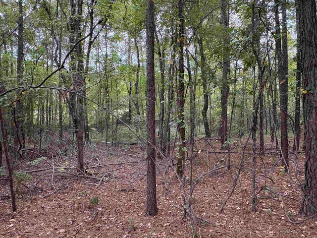 24853 S 425, Star City, AR 71667