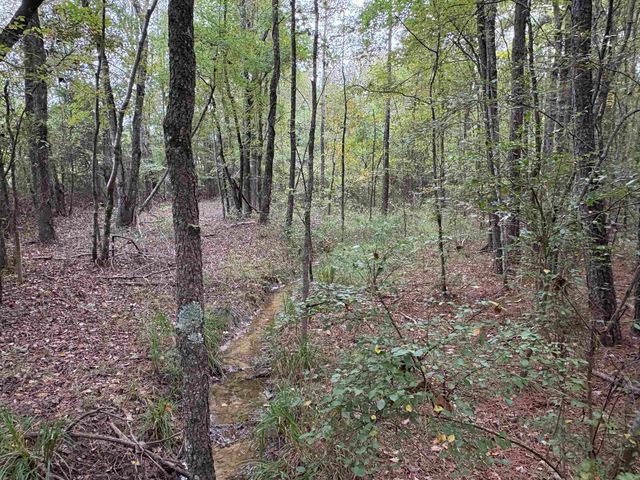 24853 S 425, Star City, AR 71667